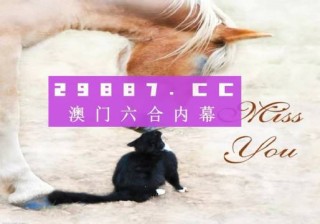 知乎：澳门今日闲情免费资料-roa胎位是什么意思