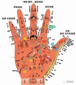 火山视频:正版资料免费资料大全-高血压吃什么