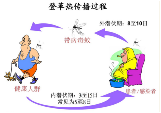 微博:二四六香港天天开彩大全-登革热是什么症状