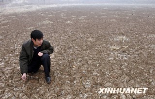 搜狐订阅：马会澳门正版资料查询-河南下雨了!持续干旱后多地迎降雨