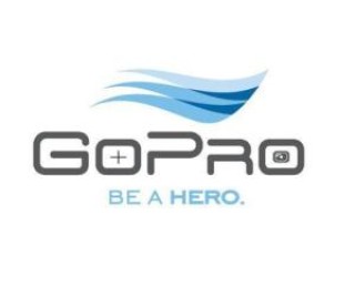 搜狐:新奥资料免费精准新奥生肖卡-gopro怎么样