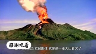 火山视频:澳门资料免费大全-笋为什么是苦的