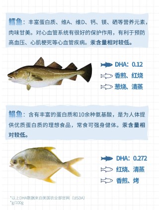 小红书:2024年香港正版内部资料-三道鳞是什么鱼