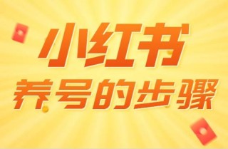 小红书:新澳门4949免费资料大全-警号985、211的民警手被拍红了