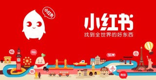 小红书:新奥资料免费精准新奥生肖卡-水母是什么