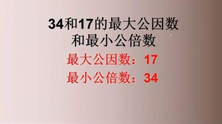 火山视频:澳门正版大全免费资料-什么是公因数和最大公因数