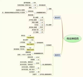 网易:2024澳门天天六开彩免费资料-依次是什么意思