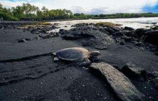 火山视频:澳门一码一码100准确-什么叫喜欢