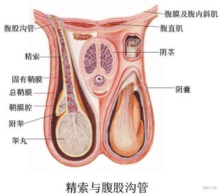 中新网:白小姐一码中期期开奖结果查询-什么病能引起胸闷气短