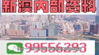 网易:新澳门2024资料大全管家婆-知更鸟象征什么