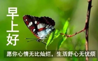 搜狐订阅：2024澳门资料大全免费图片-文是什么意思