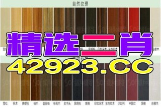 网易:2024香港正版资料大全免费-乐高纪录片《拼出未来》发布预告