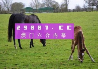 阿里巴巴:马会澳门正版资料查询-五十坐地能吸土是什么意思