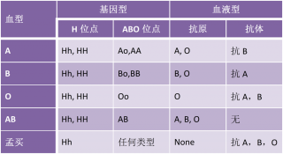 知乎：澳门一码一码100准确-父母什么血型会溶血