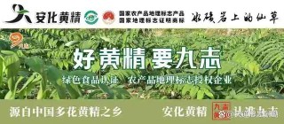 网易:新澳资料最准的网站-黄精什么功效