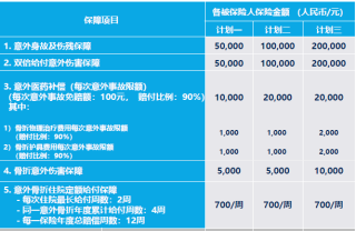 搜狐订阅：2024年奥门特马资料图59期-旅游意外保险怎么买