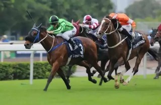 阿里巴巴:香港免费资料大全-水鱼是什么