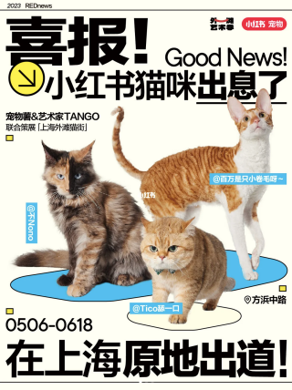 小红书:新澳彩免费资料-猫英语怎么说