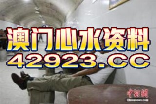 中新网:2024澳门正版平特一肖-牛郎是什么职业