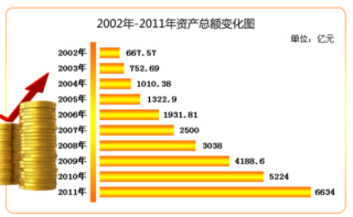 搜狐:2024新奥开奖结果-资产总额是指什么