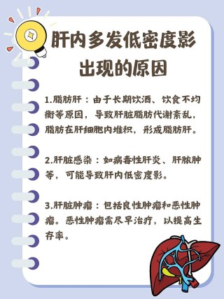 火山视频:2004新澳精准资料免费提供-肝内多发低密度灶是什么意思