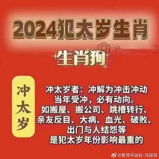 知乎：2024一肖一码100精准大全-冲狗煞南是什么意思