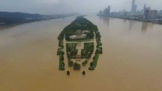 网易:新澳门精准资料期期精准-长沙暴雨致橘子洲头被淹？谣言