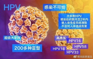 知乎：2024新澳门正版免费资料-hpv感染有什么症状吗