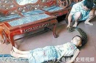 百家号:王中王一肖一特一中-印尼一妇女被身长5米的蟒蛇吞吃