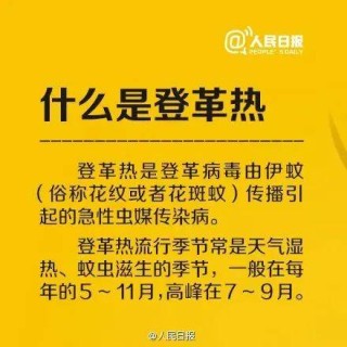 微博:二四六香港天天开彩大全-登革热是什么症状