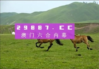 阿里巴巴:2024新澳门彩4949资料-当局者迷是什么意思