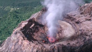 火山视频:澳门资料免费大全-笋为什么是苦的