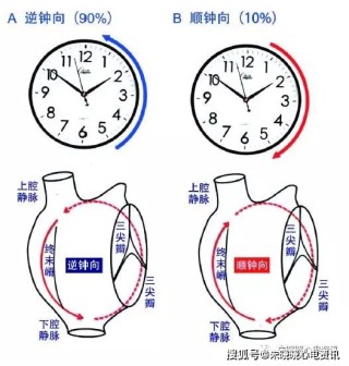 百家号:香港4777777最快开码-心脏逆钟向转位是什么意思