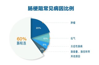 腾讯：澳门正版资料免费大全精准-肠梗阻是因为什么原因引起的