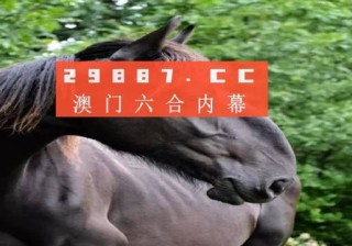 抖音视频:马会澳门正版资料查询-怎么烀狗肉