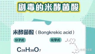 小红书:白小姐一肖一码期准今晚开奖-joyroad是什么牌子的轮胎