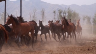 百度平台:澳门马场资料最准一码-牛的四个胃分别叫什么