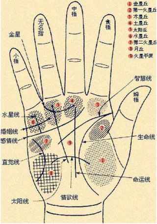 阿里巴巴:新澳门正版资料免费看-女人的手相怎么看