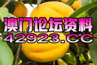 微博订阅:2o24新澳门彩4949资料-藏红花的作用是什么