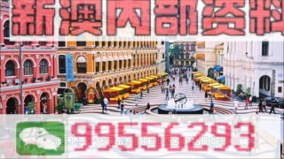 网易:新澳门2024资料大全管家婆-知更鸟象征什么