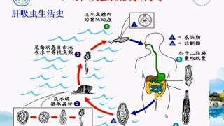 微博:新澳门4949免费资料大全-什么牌子的口红最好