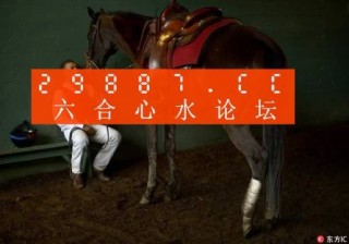 小红书:澳门一码一肖一特一中2024年-一行什么