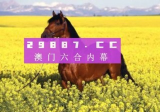 小红书:新澳彩资料免费长期公开五十期-late怎么读