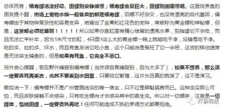 小红书:澳门王中王论坛开奖资料-扁桃体发炎忌口什么