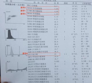 微博:香港一肖一码100%中-绿色和红色混合是什么颜色