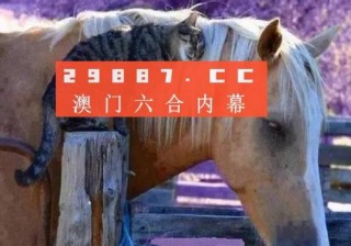 中新网:澳门传真49正版4949-压缩包怎么加密