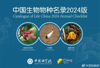 抖音视频:2024澳门免费精准资料-动物资料卡片怎么写