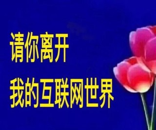 阿里巴巴:2024澳门精准正版资料-河南省实验中学怎么样