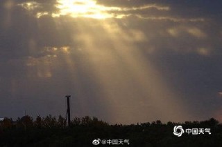 搜狐订阅：2024年新澳版资料正版图库-金丝檀木是什么木头