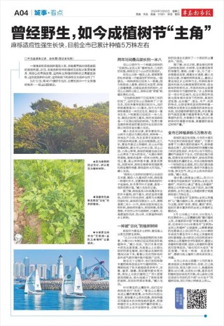 搜狗订阅:2024年新澳开奖结果-ppt和pptx有什么区别